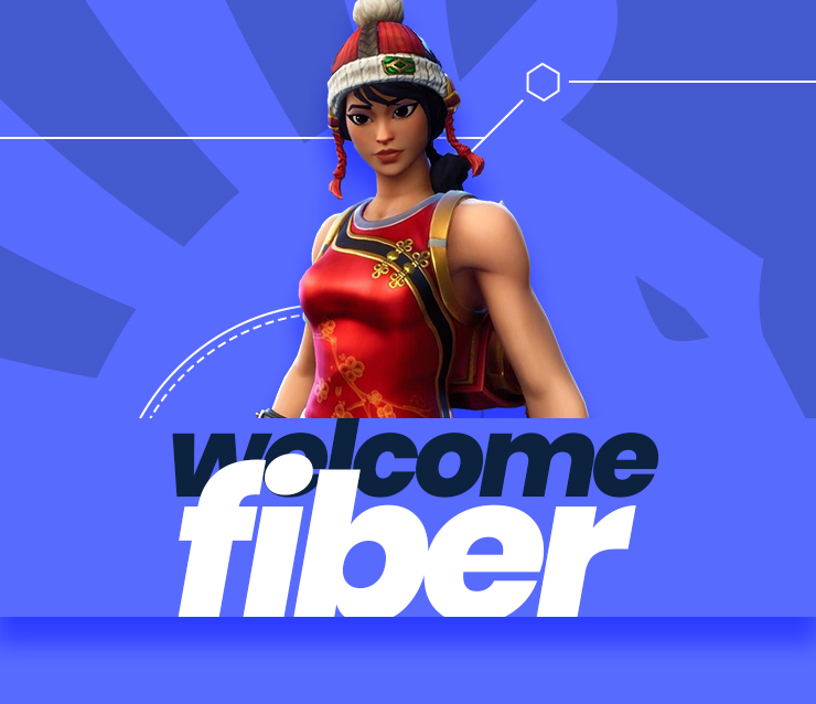 Liquid Fiber fortnite